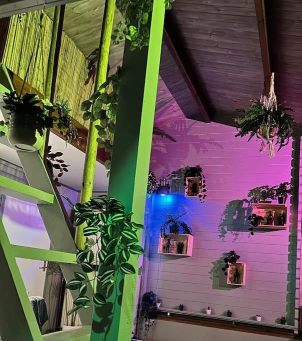 Jungle Style Lodge With Jacuzzi ,Sauna And Garden Near Amsterdam Vijfhuizen Exterior photo